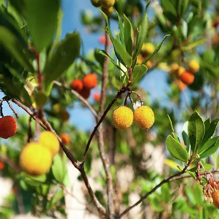 In Umbria Near Montefalco Winery