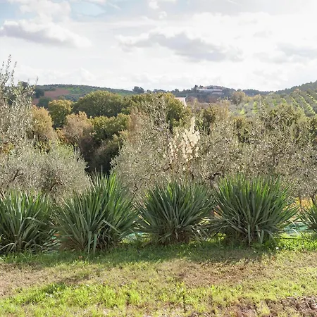 In Umbria Near Montefalco Winery