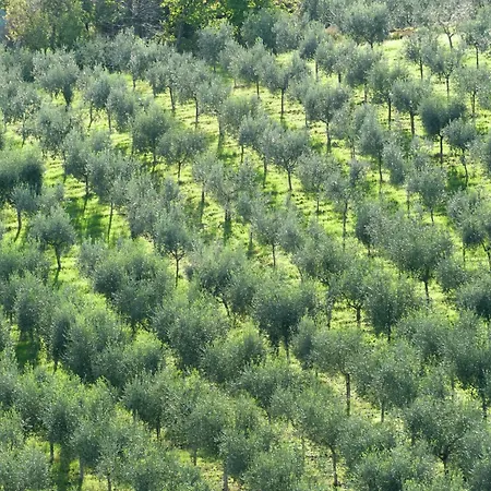 In Umbria Near Montefalco Winery