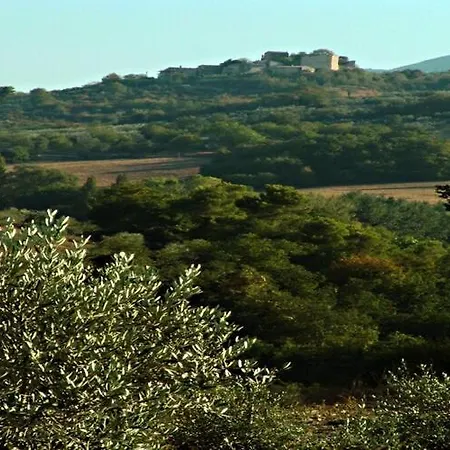 In Umbria Near Montefalco Winery *