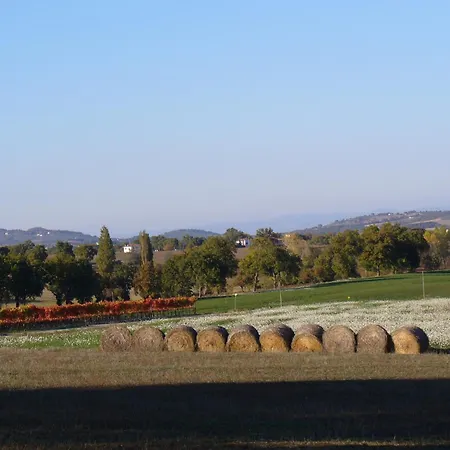 In Umbria Near Montefalco Winery