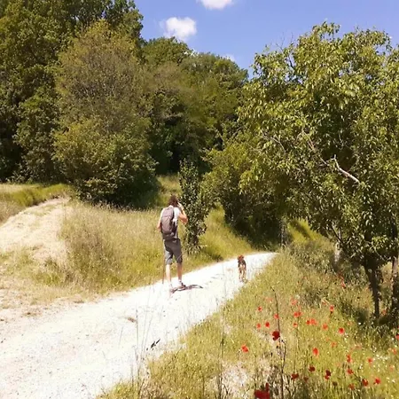 In Umbria Near Montefalco Winery Prázdninový dům *