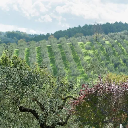 Prázdninový dům In Umbria Near Montefalco Winery *