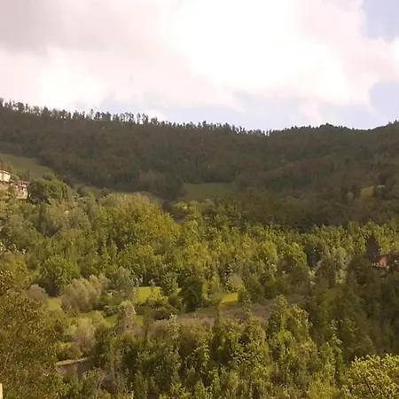 In Umbria Near Montefalco Winery *