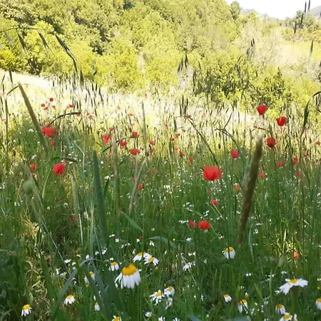 In Umbria Near Montefalco Winery Prázdninový dům Giano dellʼUmbria