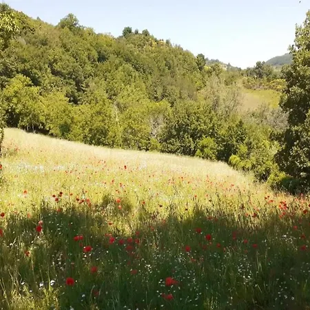 In Umbria Near Montefalco Winery Prázdninový dům *